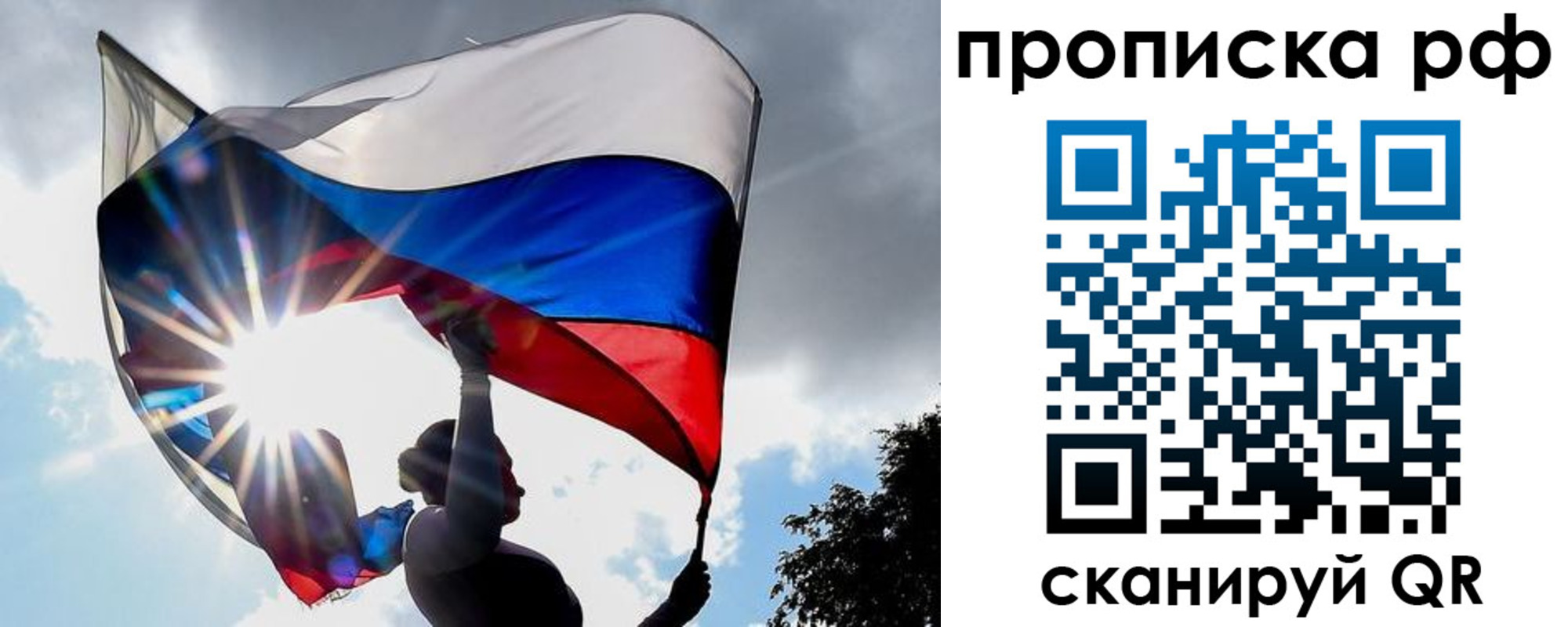 прописка для школы в Всеволожске